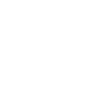 wheelchair icon